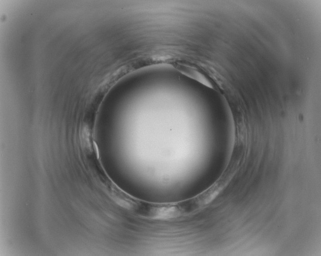 X0000070880575200606191318