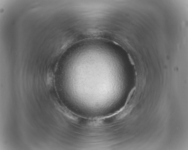 X0000070880576200606191318