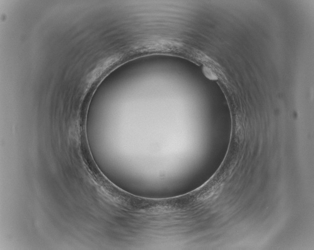 X0000070880578200606191317