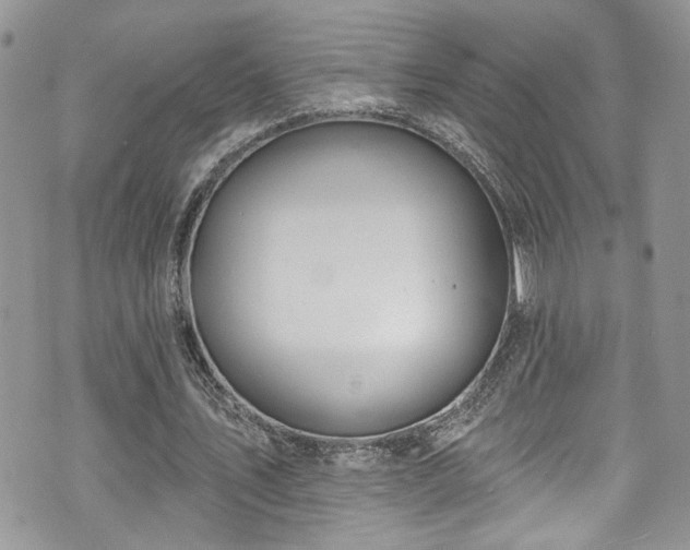 X0000070880579200606191317