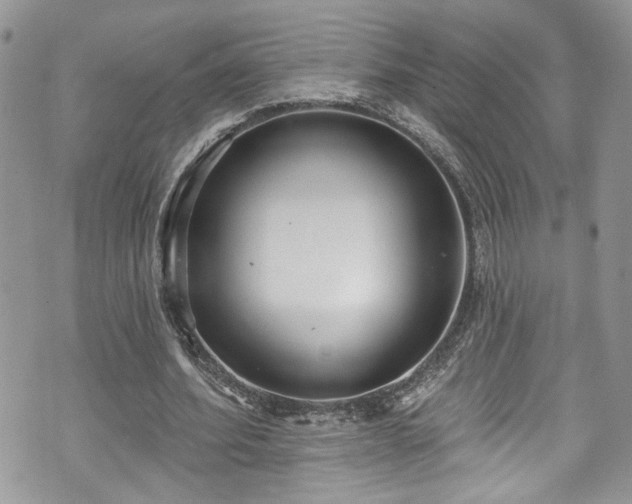 X0000070880580200606191317