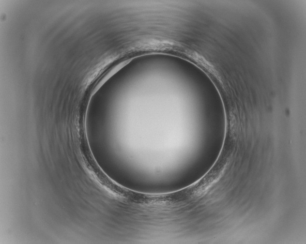 X0000070880581200606191317