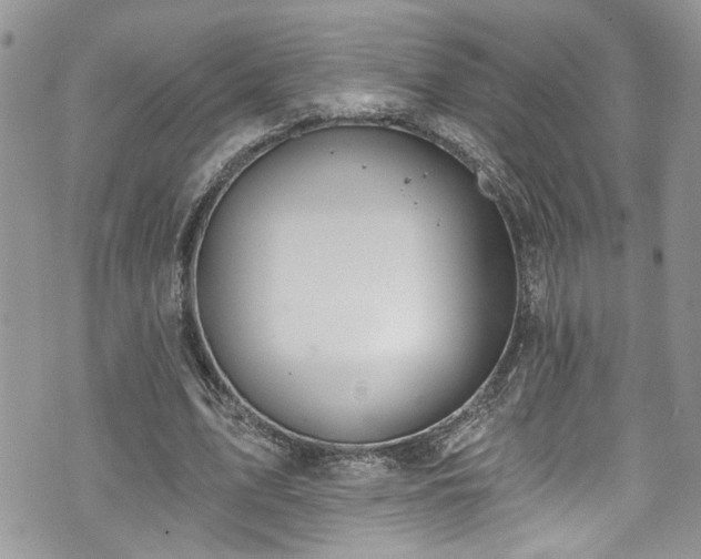 X0000070880583200606191317