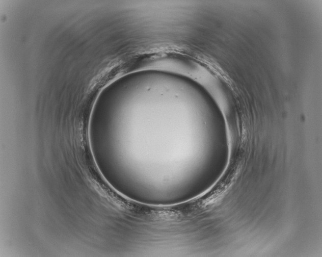 X0000070880585200606191317