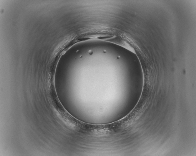 X0000070880586200606191317