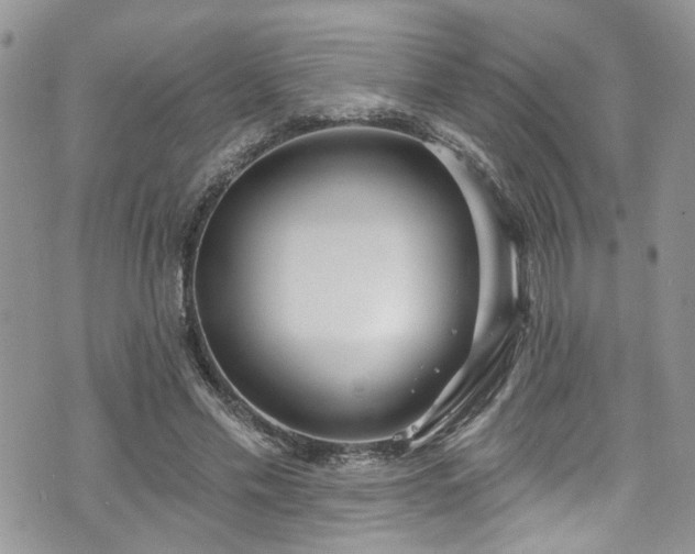 X0000070880589200606191317