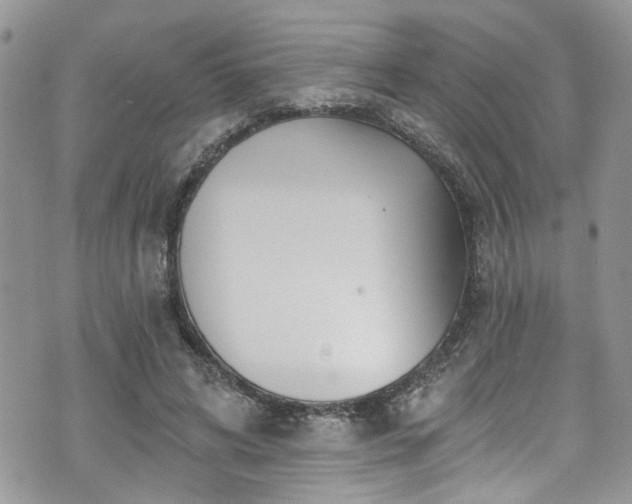 X0000070880592200606191317