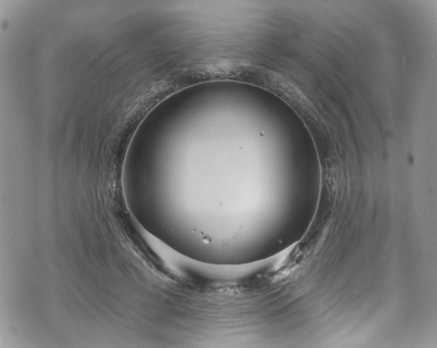 X0000070880593200606191317