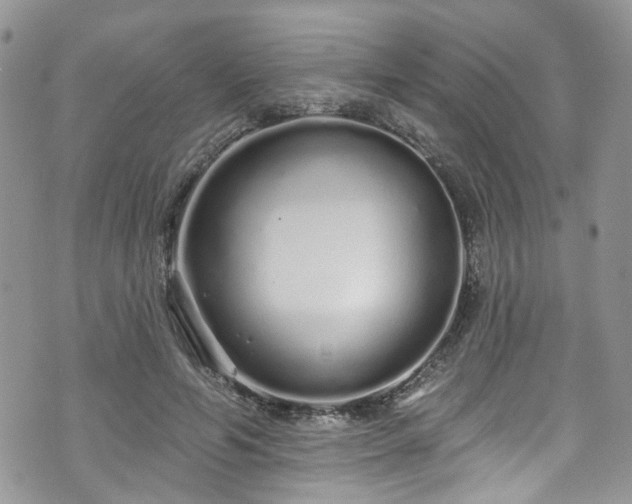 X0000070880594200606191317