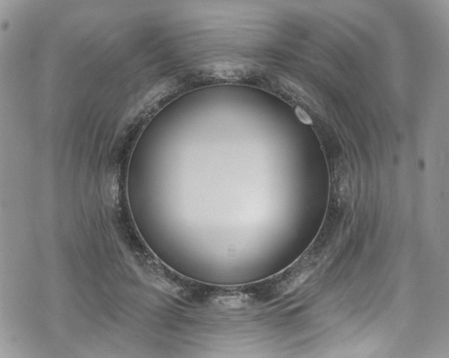 X0000070880595200606191317