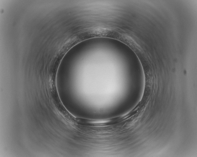 X0000070880597200606191317