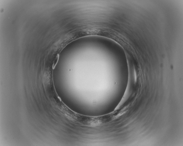 X0000070880604200606191317