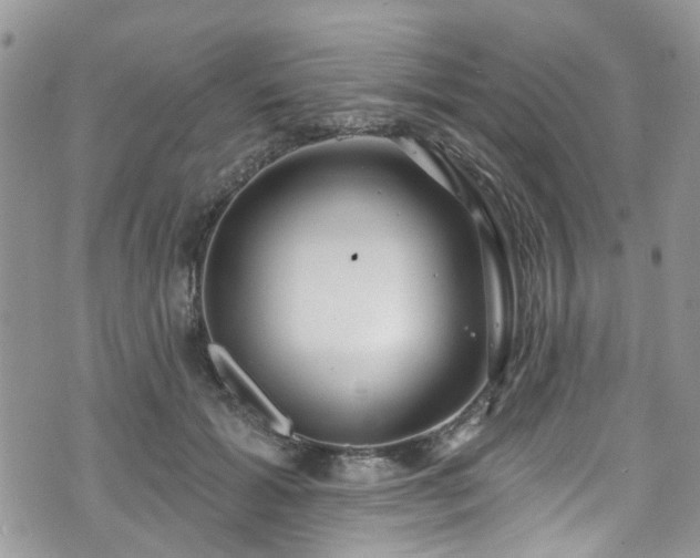 X0000070880605200606191317