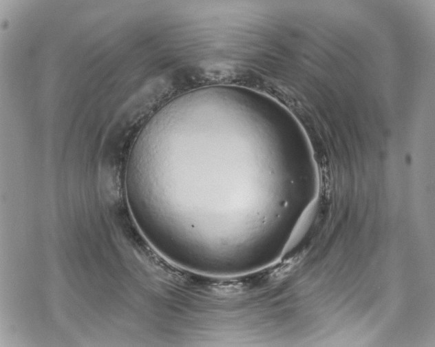 X0000070880606200606191317