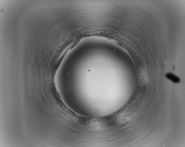 X0000070880608200606191317