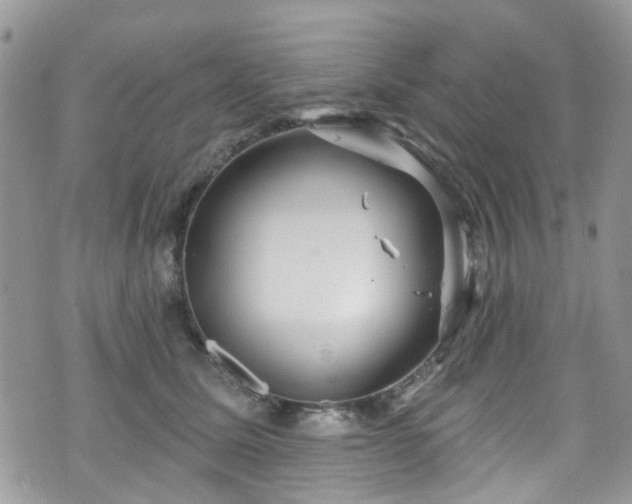 X0000070880611200606191317