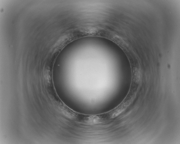 X0000070880612200606191317