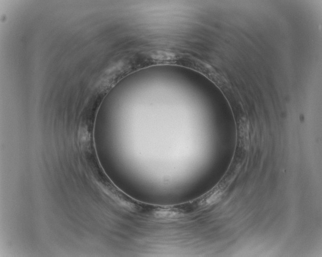 X0000070880614200606191317