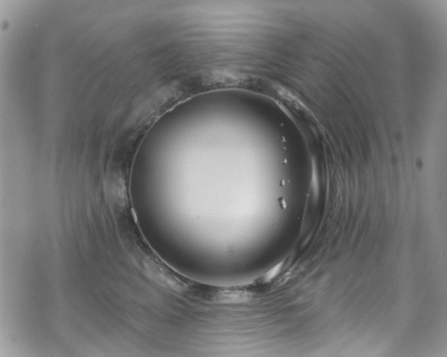 X0000070880617200606191317