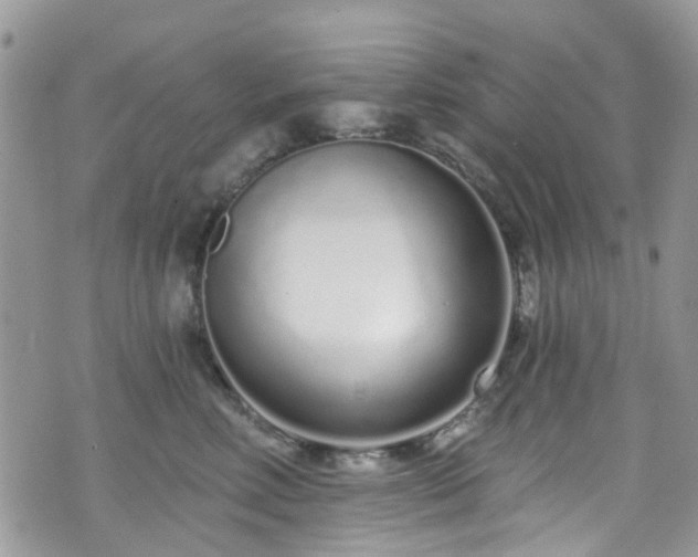 X0000070880618200606191317