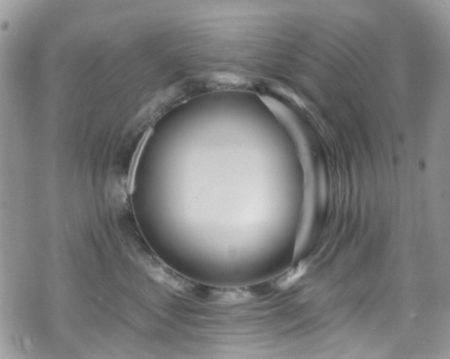 X0000070880621200606191317