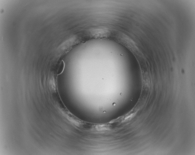 X0000070880622200606191317