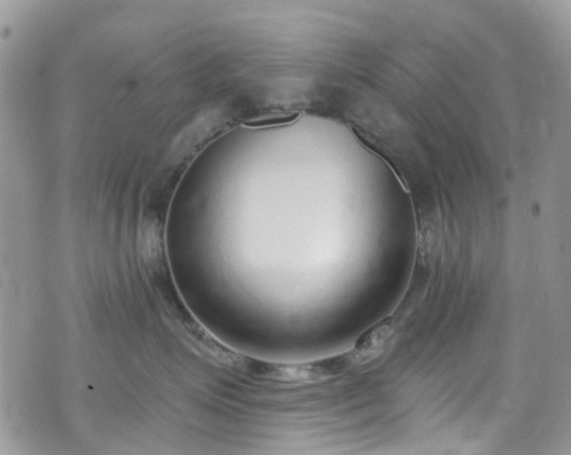 X0000070880623200606191317