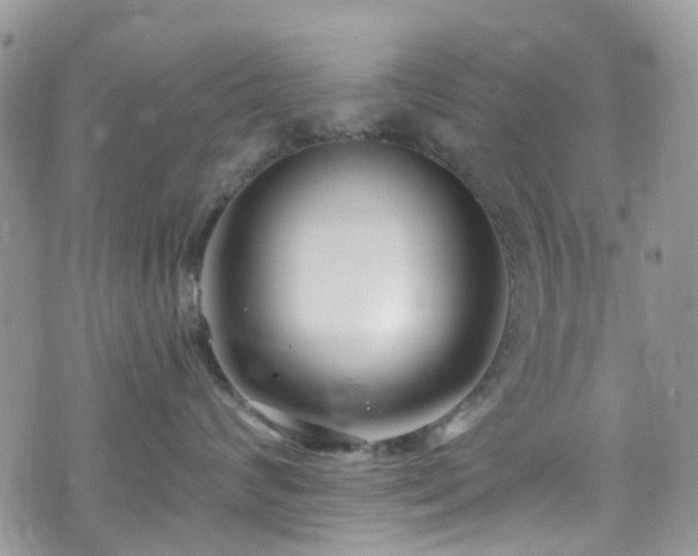 X0000070880624200606191317