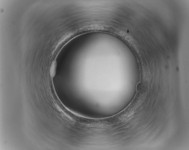 X0000070880625200606191316