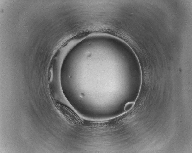 X0000070880626200606191316