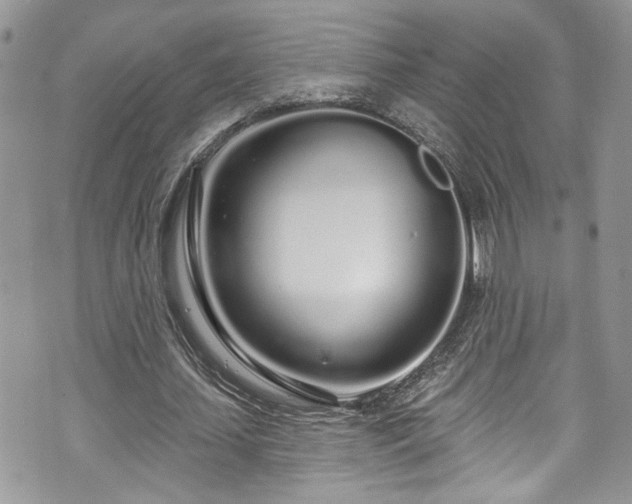 X0000070880627200606191316