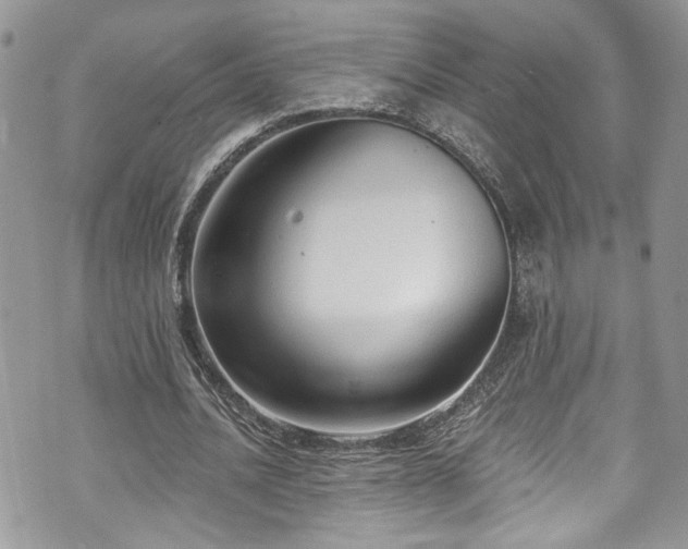 X0000070880628200606191316