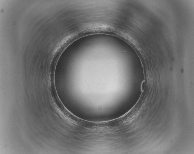 X0000070880629200606191316