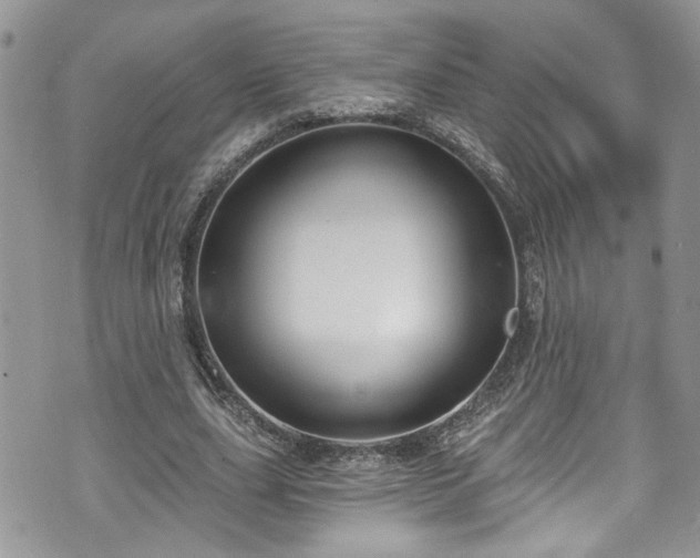 X0000070880631200606191316