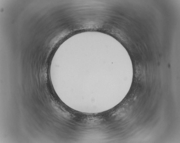 X0000070880632200606191316