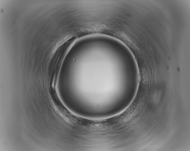 X0000070880634200606191316