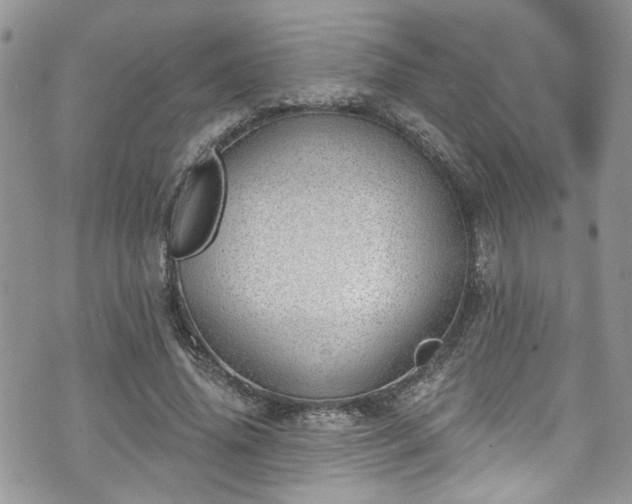 X0000070880636200606191316