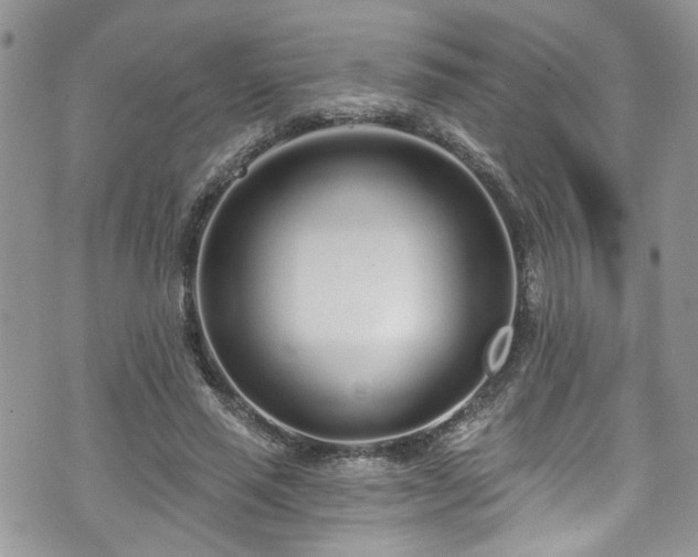 X0000070880637200606191316