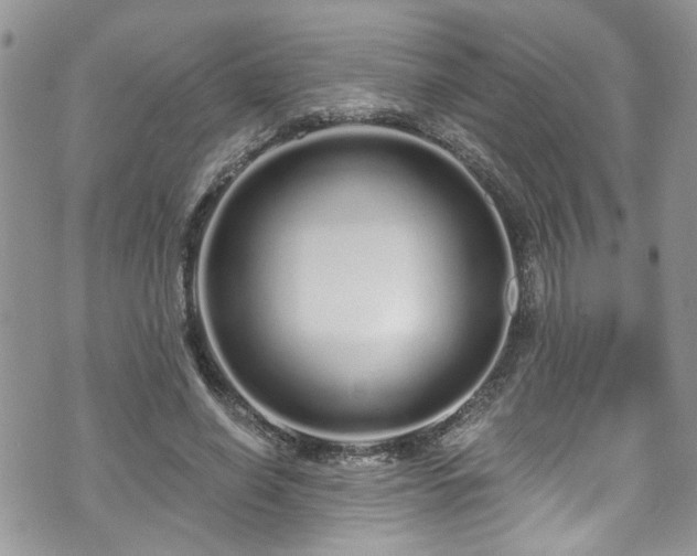 X0000070880638200606191316