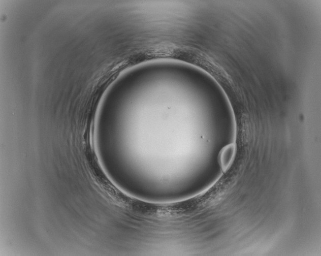 X0000070880641200606191316