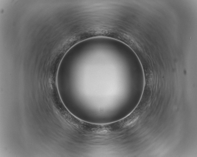 X0000070880643200606191316