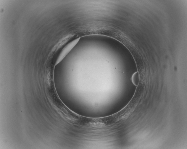 X0000070880644200606191316