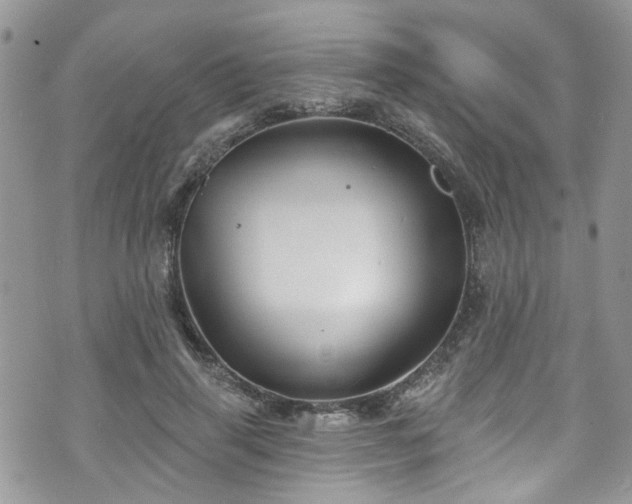 X0000070880645200606191316