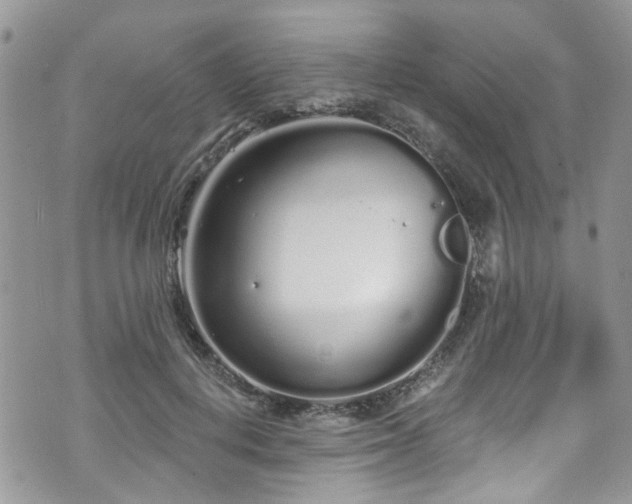 X0000070880648200606191316