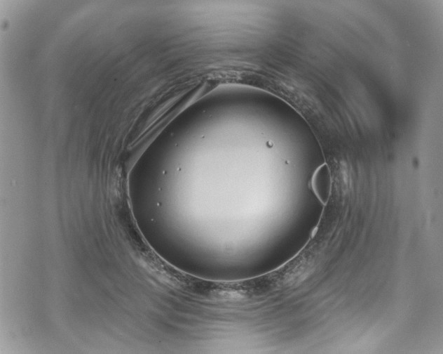 X0000070880649200606191316