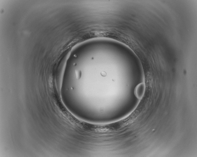 X0000070880650200606191316