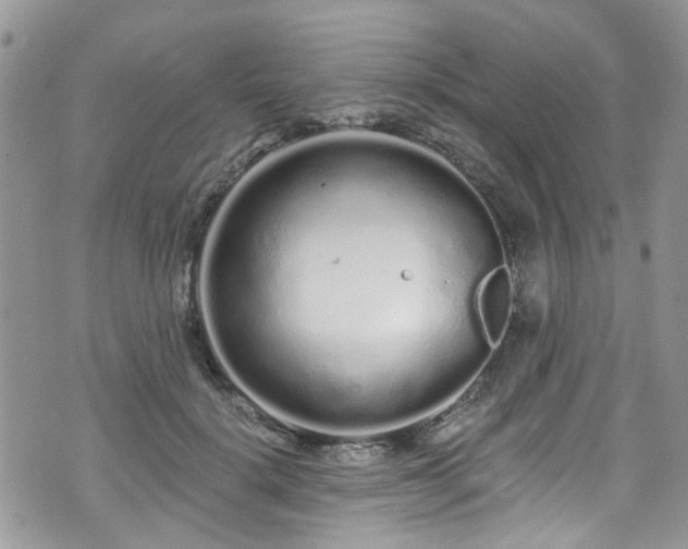 X0000070880652200606191316