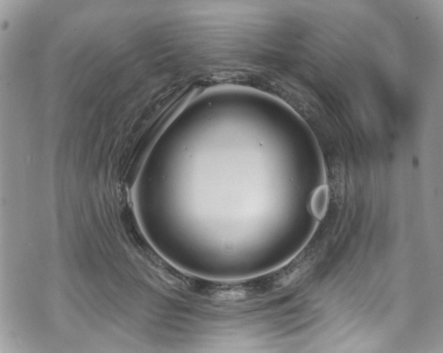 X0000070880653200606191316