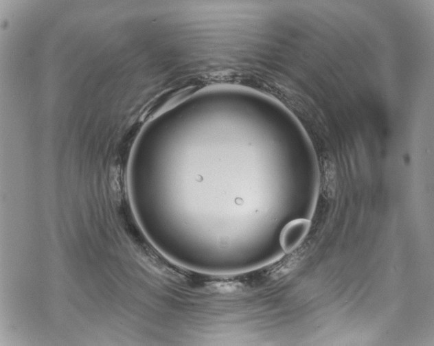 X0000070880654200606191316