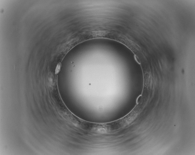 X0000070880655200606191316